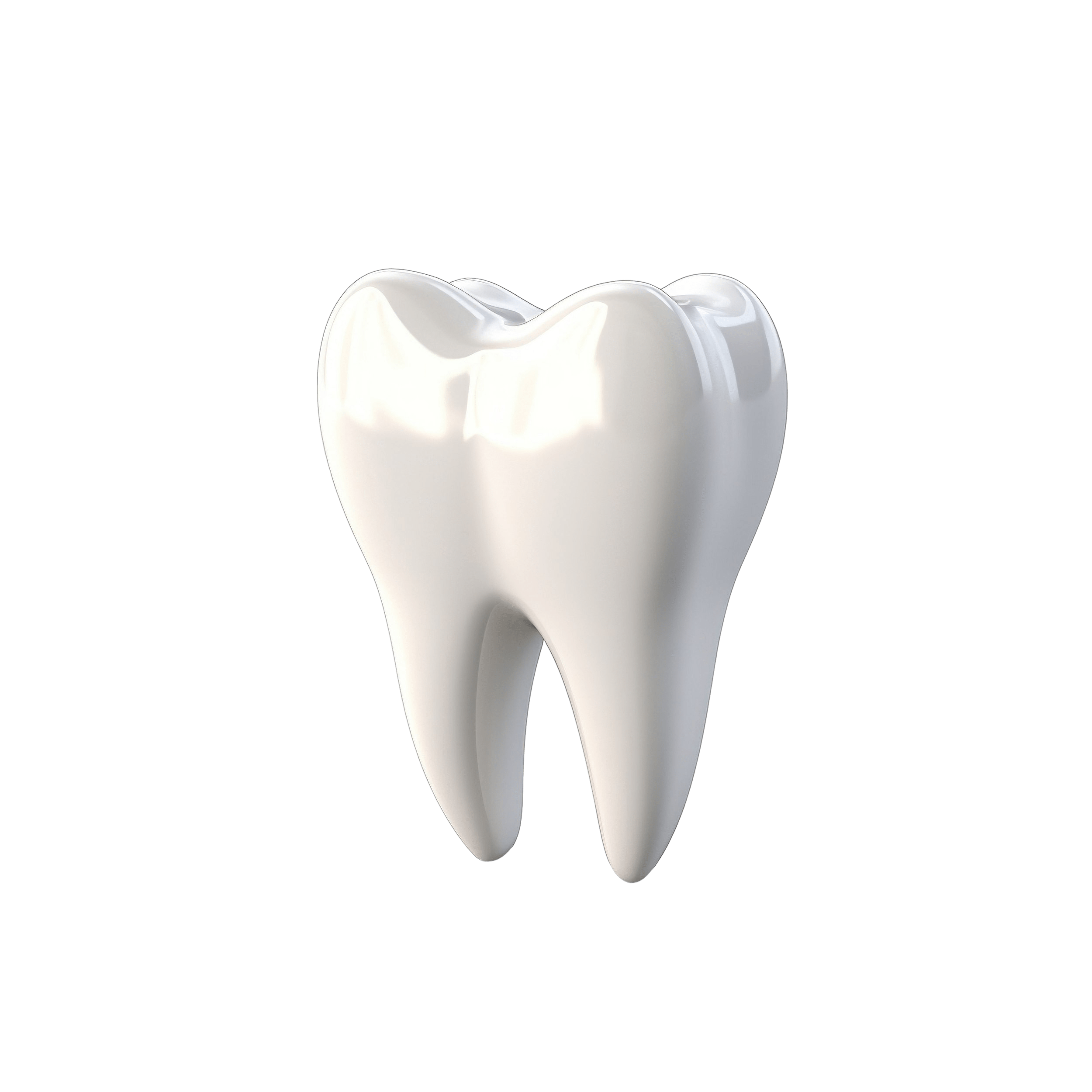 3D Tooth Model